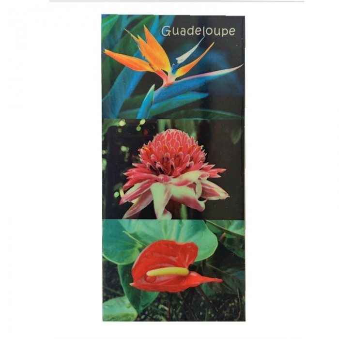 Magnet : XL photo - fleurs tropicales