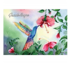 Magnet : peinture Claire - colibri